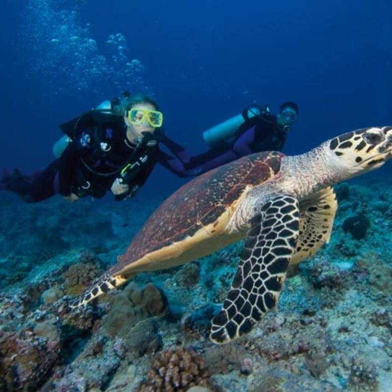 اجمل الجزر في العالم لقضاء شهر العسل - سانت لوسيا