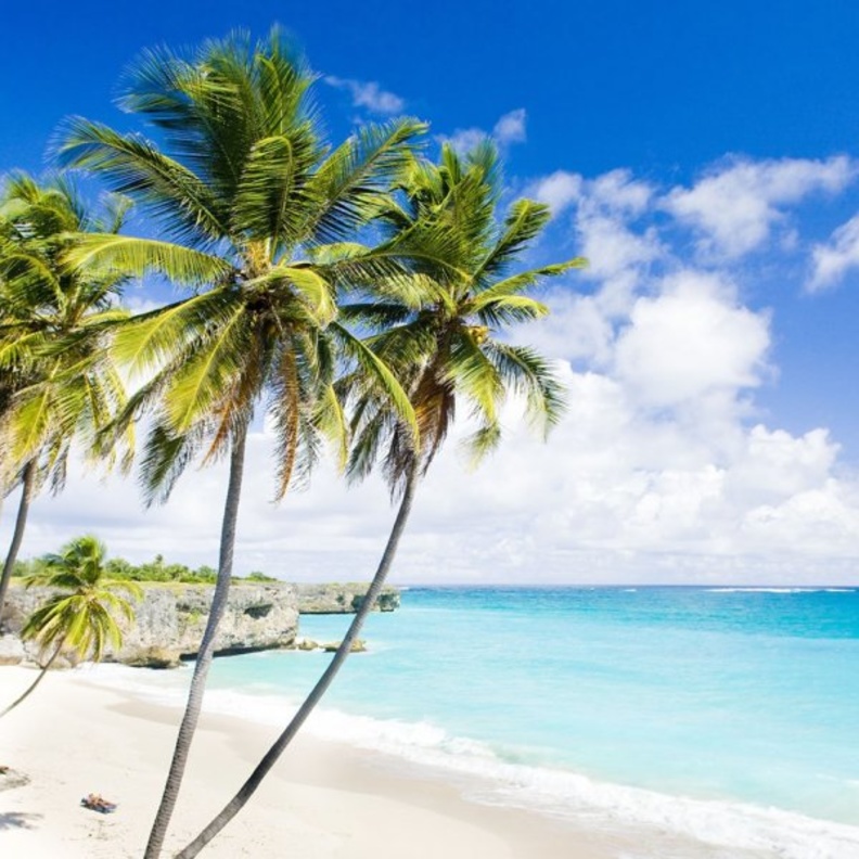  باربادوس وجهة شهر العسل المختارة للاميرة آن بصحبة عريسها مارك فيليبس