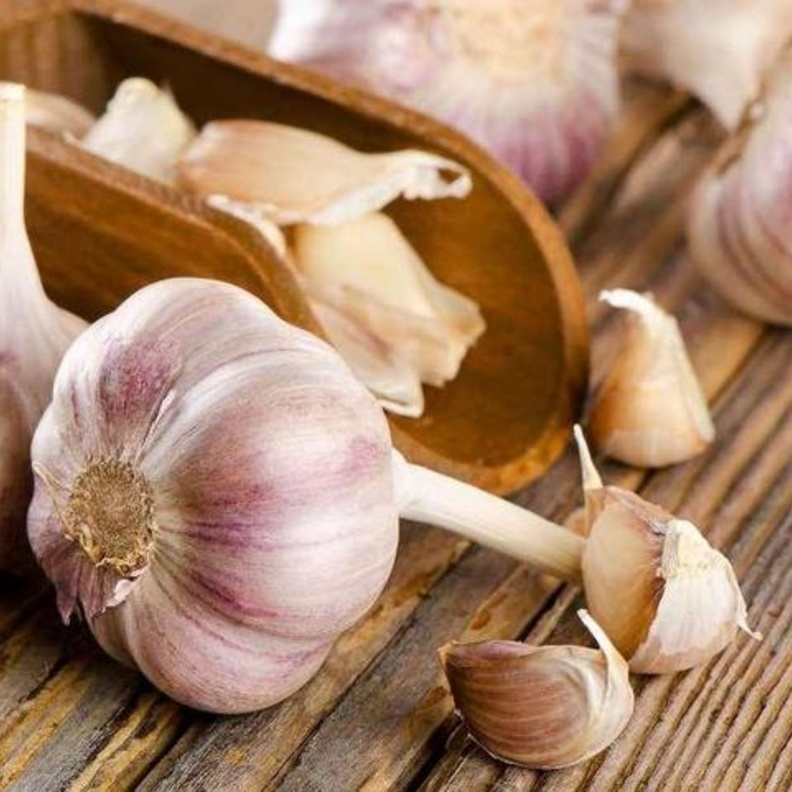 الثوم يقي من التهابات الكبد