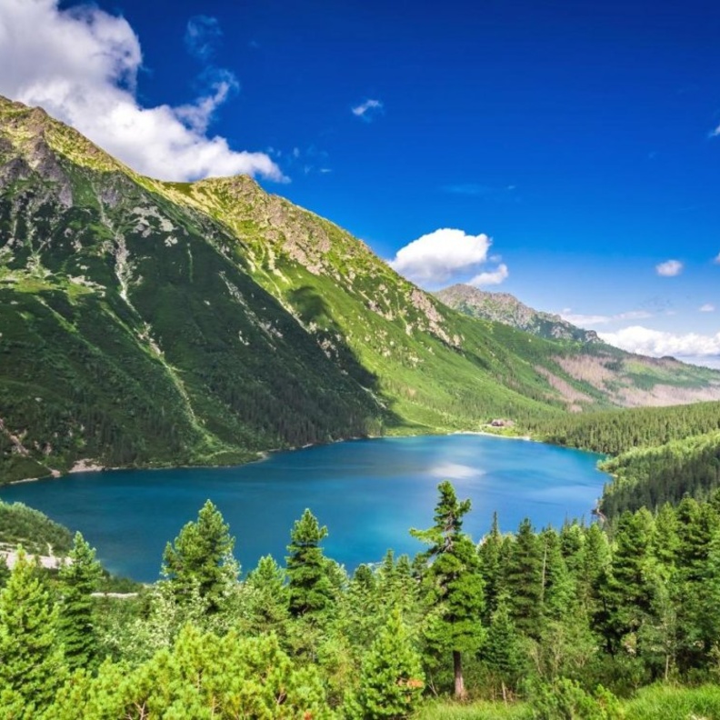 القصر الملكي Royal Castle