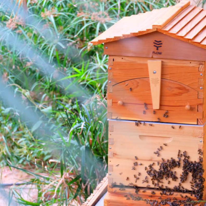 تعاون غاليري لافاييت مع سيكس سينسز لإطلاق برنامج الأصابع الخضراء