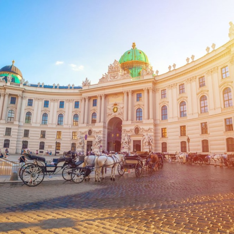 عربات الخيول وسط المدينة 
