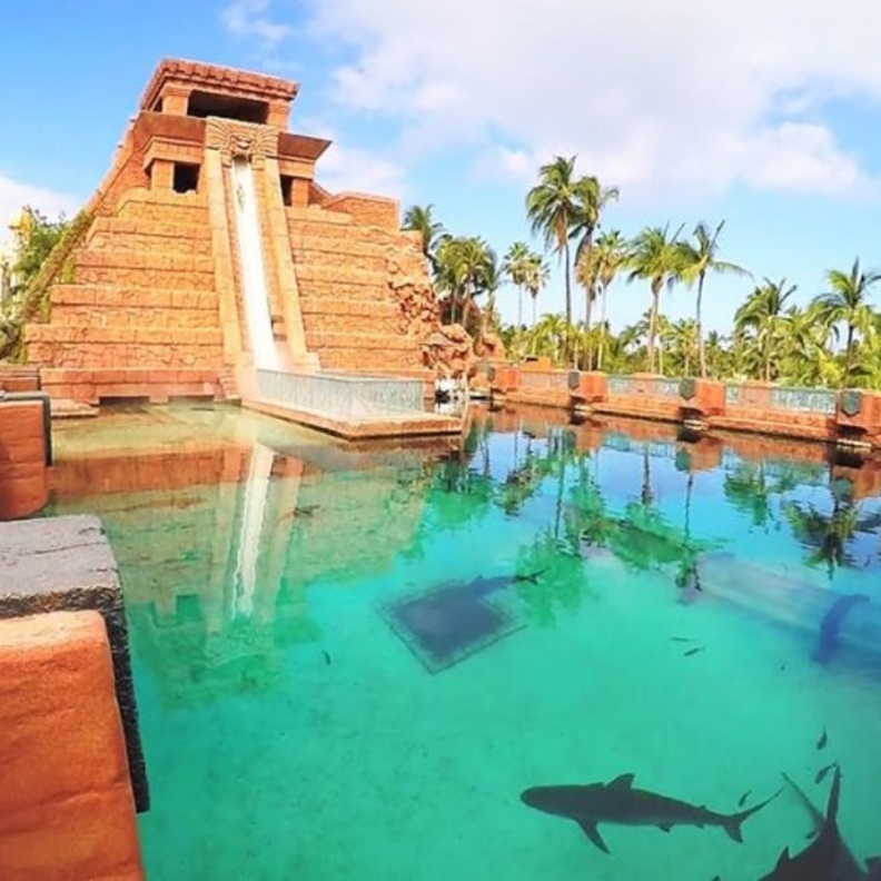 الفنادق السياحية الكبيرة والفخمة، ومن بين أشهرها على الإطلاق فندق Izmailovo Hotel