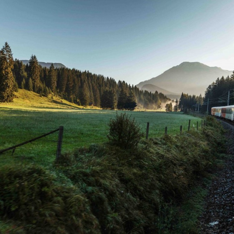فيينا تفوز بلقب أفضل مدينة للمعيشة للمرة العاشرة