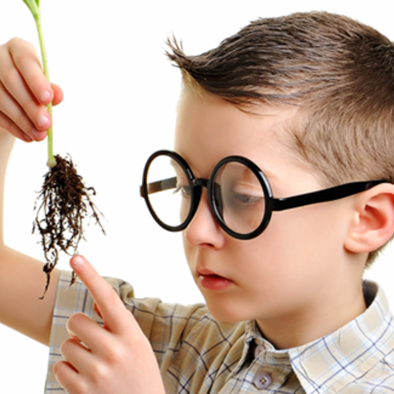 أهم الأطعمة التي تزيد من ذكاء الطفل