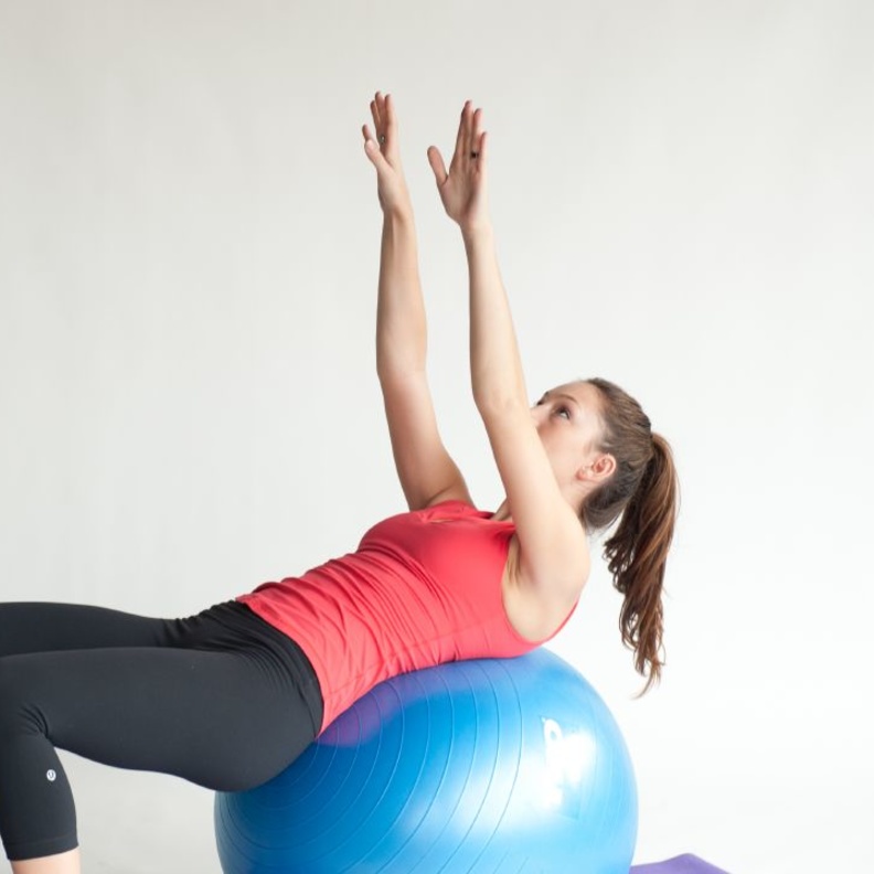 Bench Press تمرين الضغط