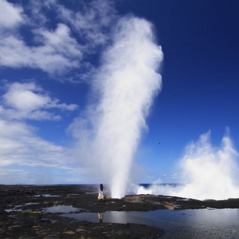 استكشاف محمية بالولو ديب البحرية