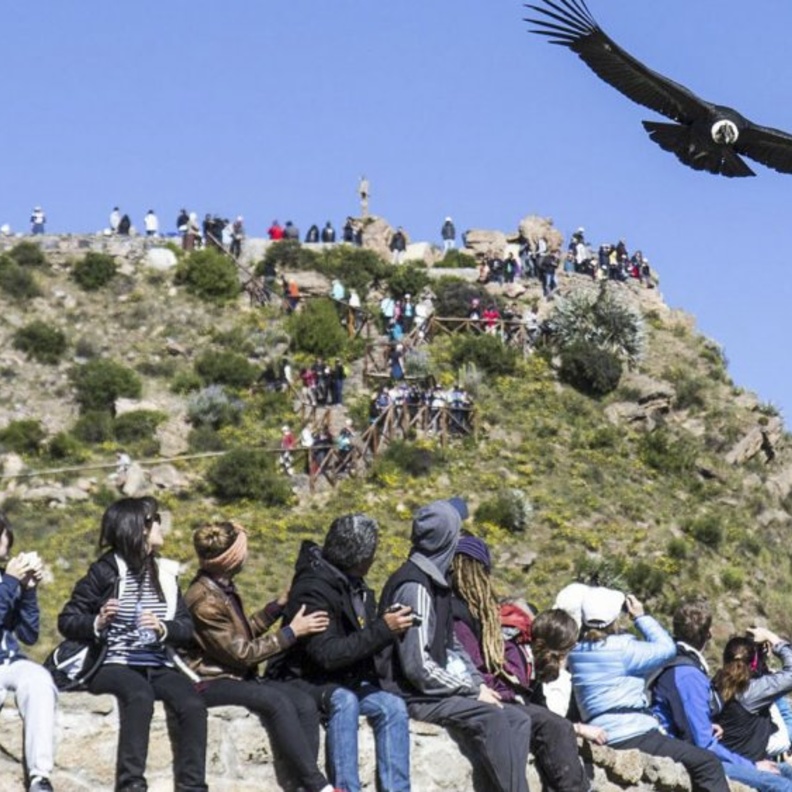 اخدود نهر كولكا لمشاهدة نسور الكوندور و هي تحلق في الاعالي