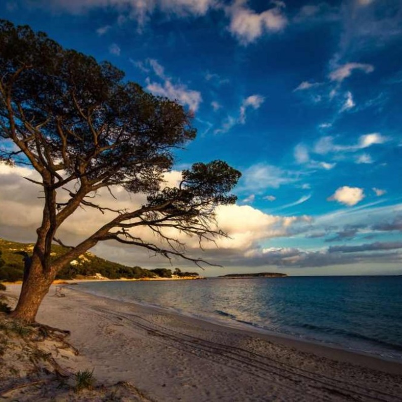 أرخبيل لافيتزي المذهل