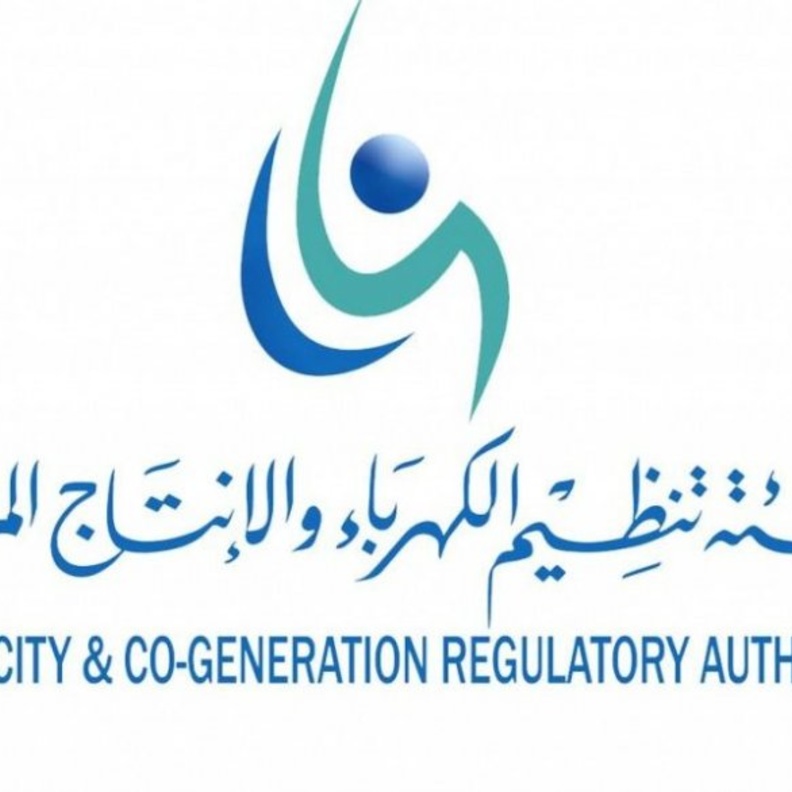 هيئة تنظيم الكهرباء