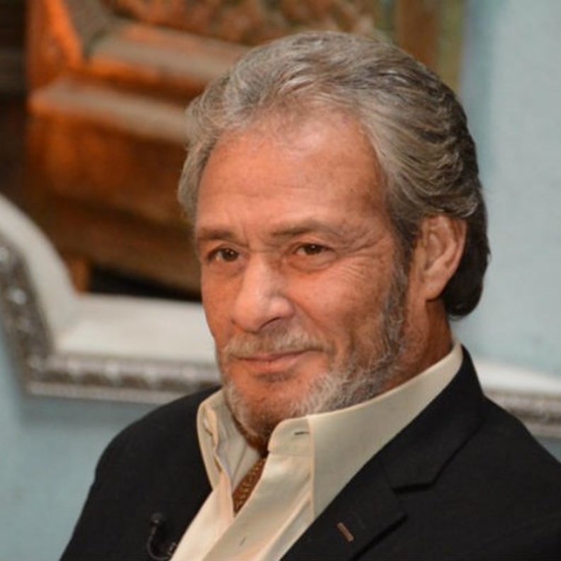 الفنان فاروق الفيشاوي