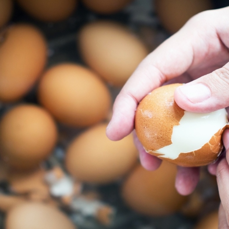  قشر البيض غني بالكالسيوم