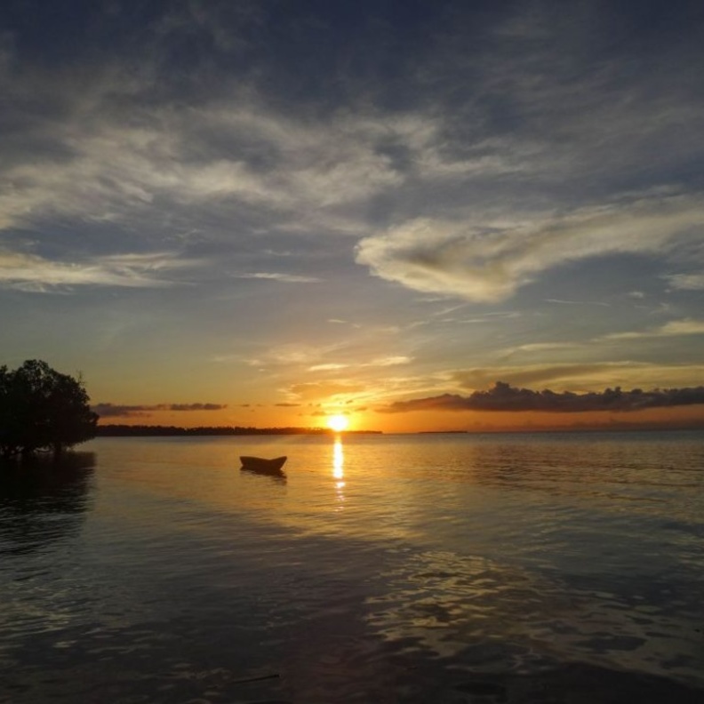 بيمبا الجزيرة الخضراء اجمل مكان لشهر العسل