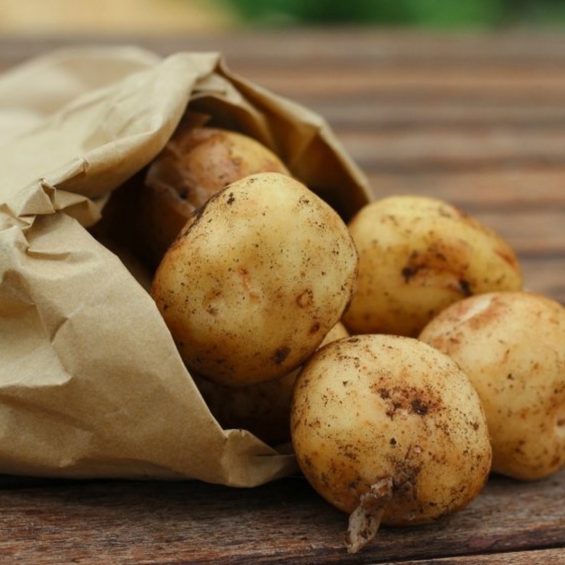 البطاطس تزيد من مناعة الجسم