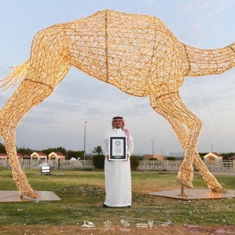 السعودية تسجل أكبر مجسم للهجن في العالم بموسوعة غينيس 