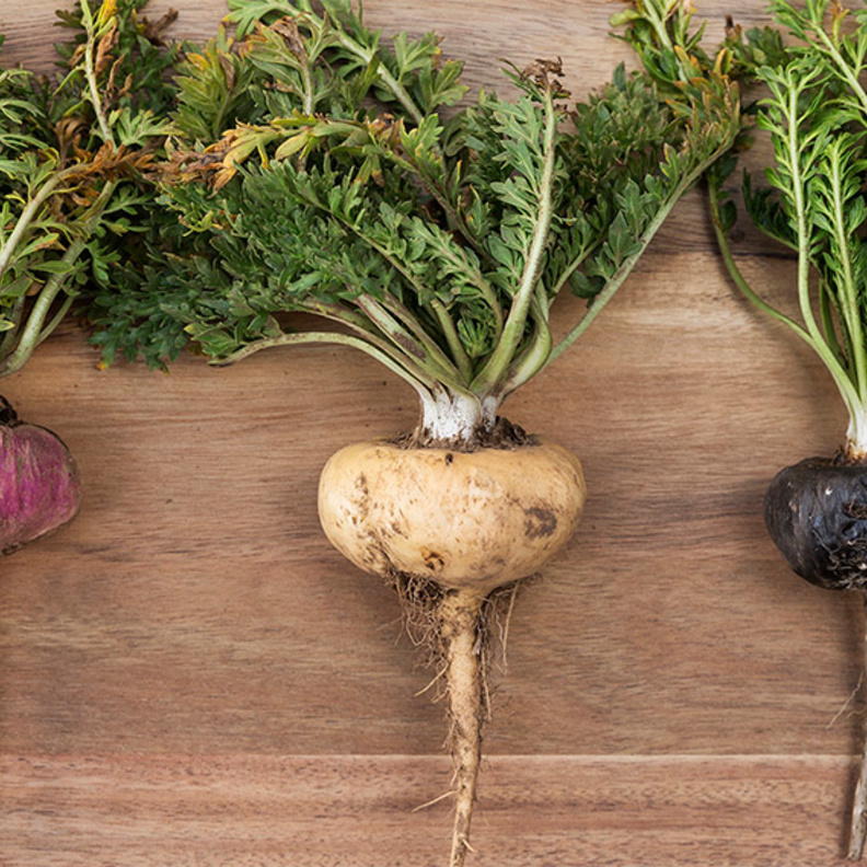  جذور الماكا تحسن الصحة الجنسية