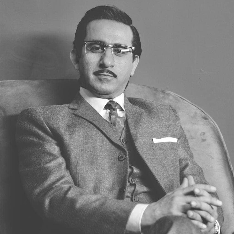 احمد حلمي