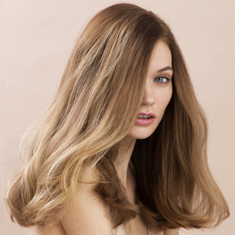 يقوي السدر الشعر من الجذور إلى الأطراف