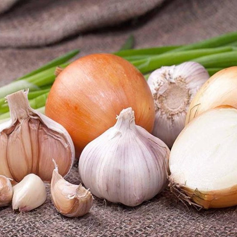 الثوم و البصل يساعدان على الوقاية من سرطان الثدي