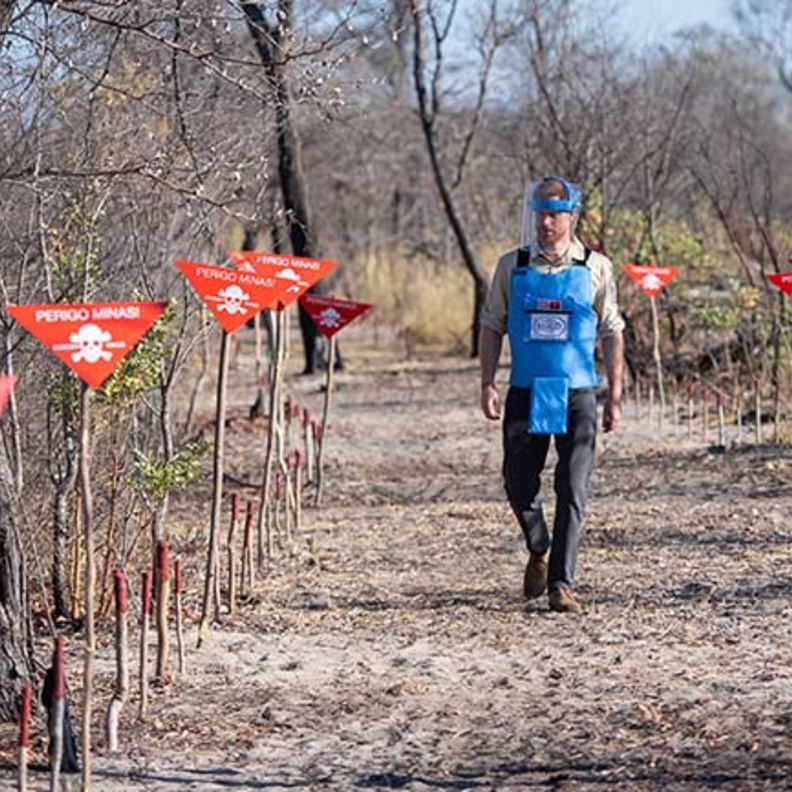 الأمير هاري وهو يتجول في حقل ألغام تم تطهيره جزئيا من الألغام الأرضية