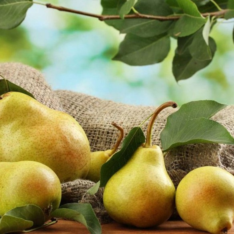  فوائد الكمثرى للتخسيس