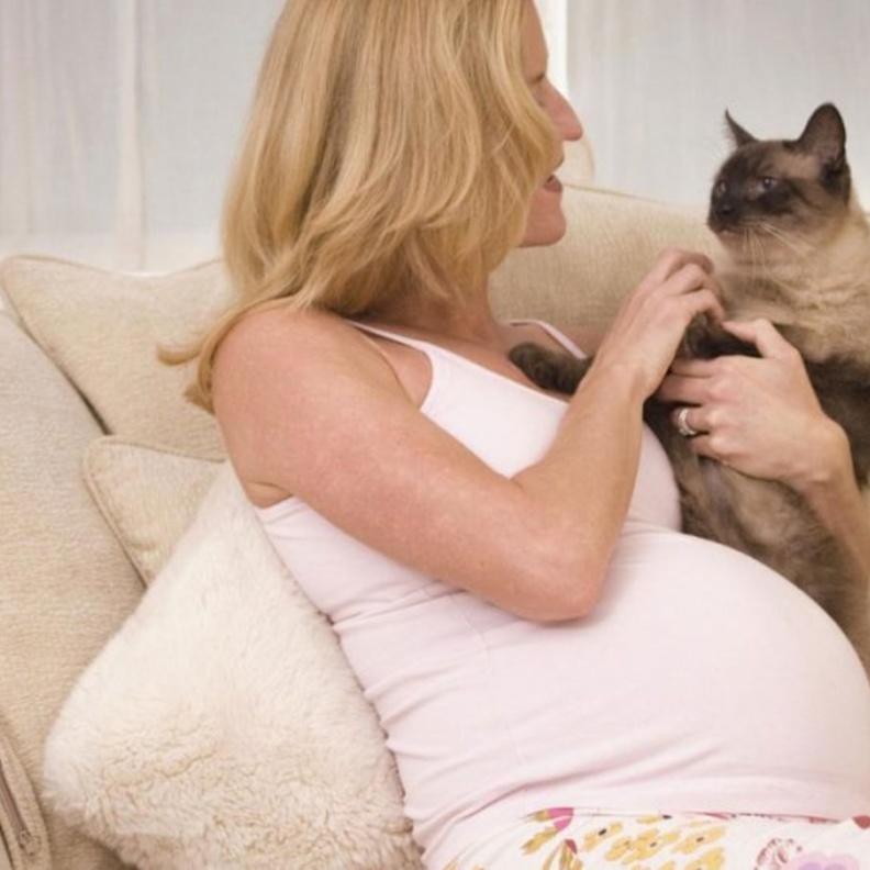  ما هى جرثومة الحمل وطرق الوقاية منها