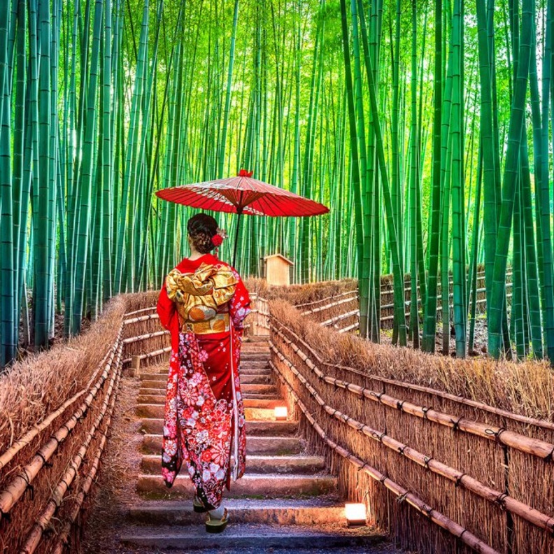  أراشيياما Arashiyama 