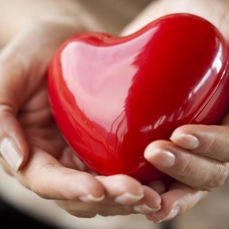 اليوم العالمي للقلب مناسبة للتوعية الصحية ووقاية القلب من الأمراض