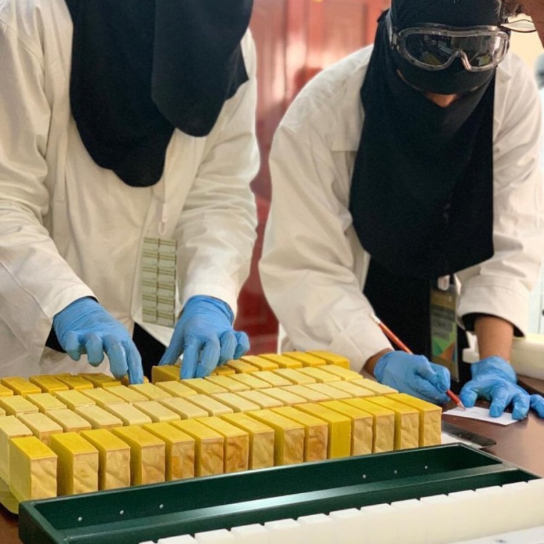  باريس تحتضن معرض العلا .. واحة العجائب في الجزيرة العربية