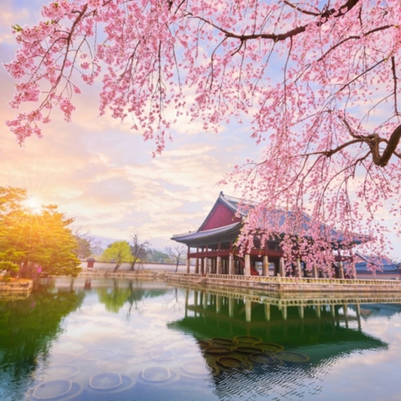 اجواء الربيع الخلابة