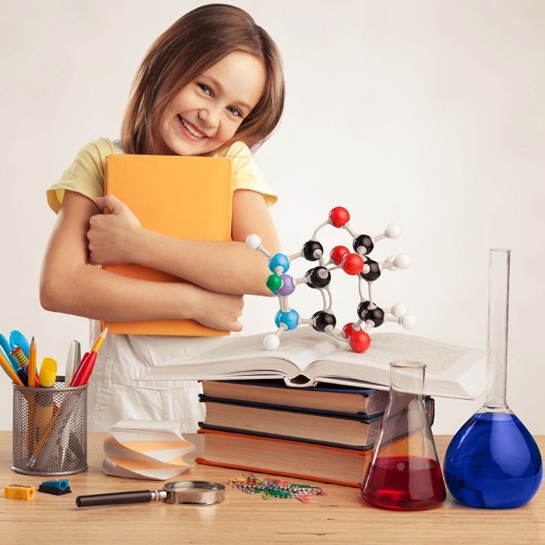 المرحلة التجريبية استدلال وحل المشكلات واستعياب المعناي والأهداف