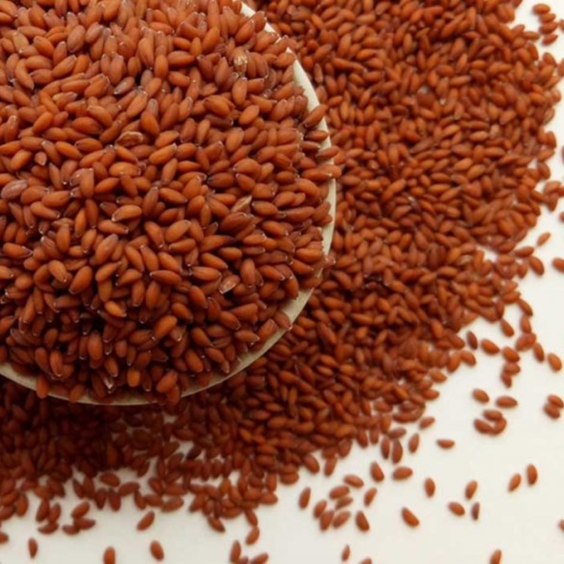 حب الرشاد يقي من ارتفاع ضغط الدم