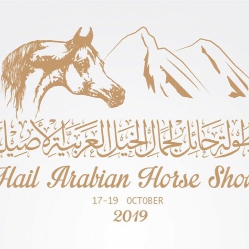 بطولة حائل هي الأولى من نوعها لجمال الخيل العربية الأصيلة