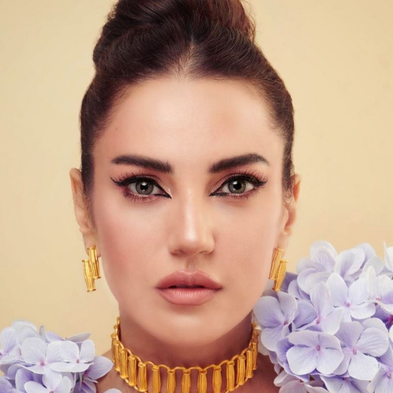 احلام تستخدم الايلانير المسحوب