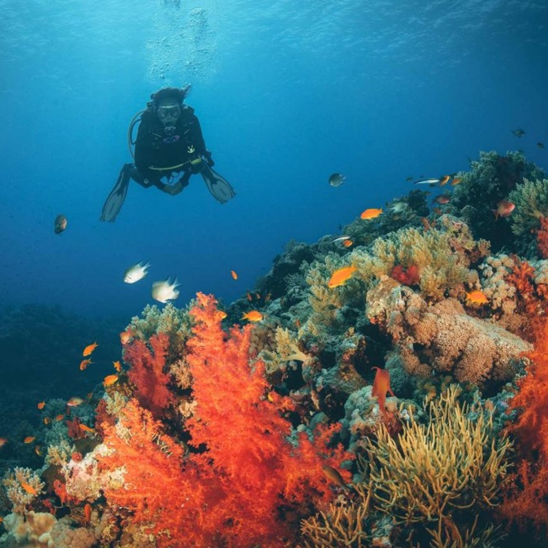 اجمل اماكن في السعودية لشهر العسل - جبل اللوز في تبوك