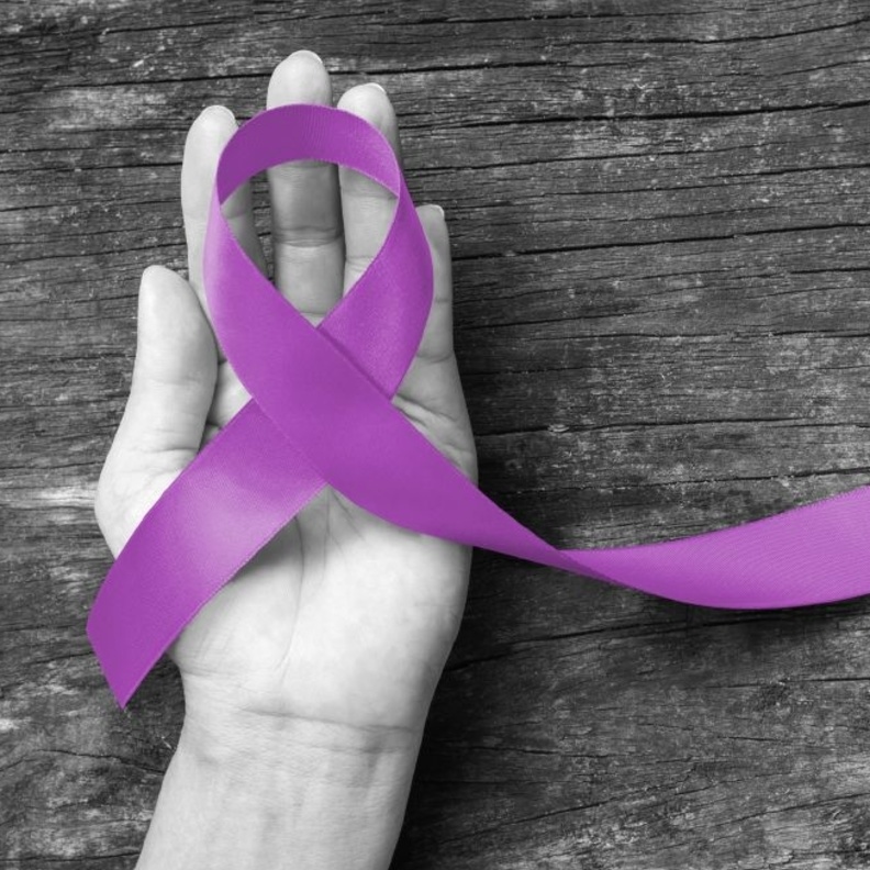 الأطعمة الغنية بالدهون تسبب مرض الزهايمر