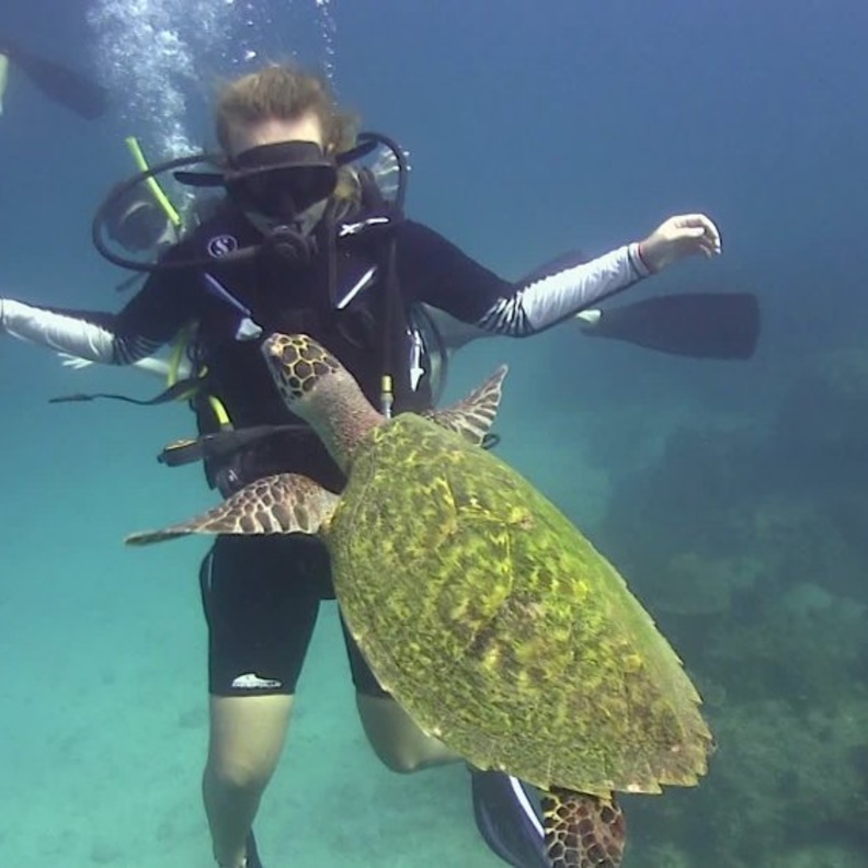 إذا أردت الاستمتاع بممارسة رياضة ركوب الأمواج وتجربة مجموعة متنوعة من الألعاب المائية بصحبة الأصدقاء خلال رحلتك السياحية في تايلاند