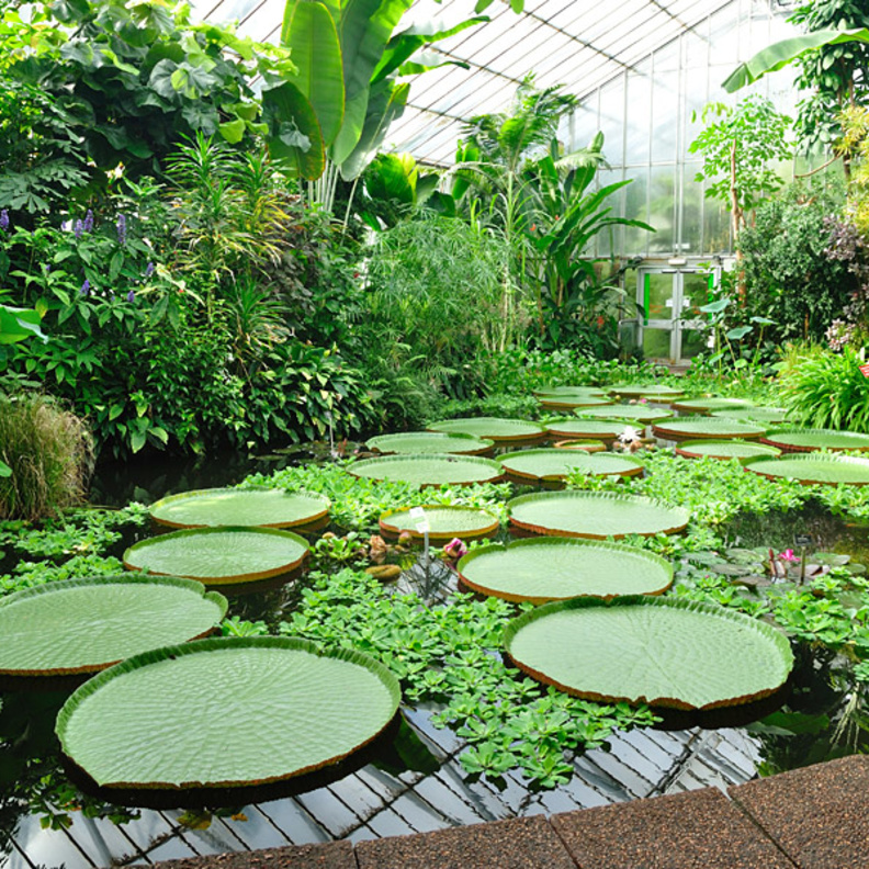 حدائق ساباتيني