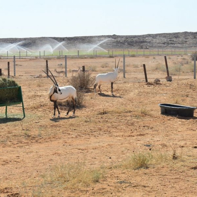 وجهة ترفيهية رائدة للعائلات والأفراد بالسعودية