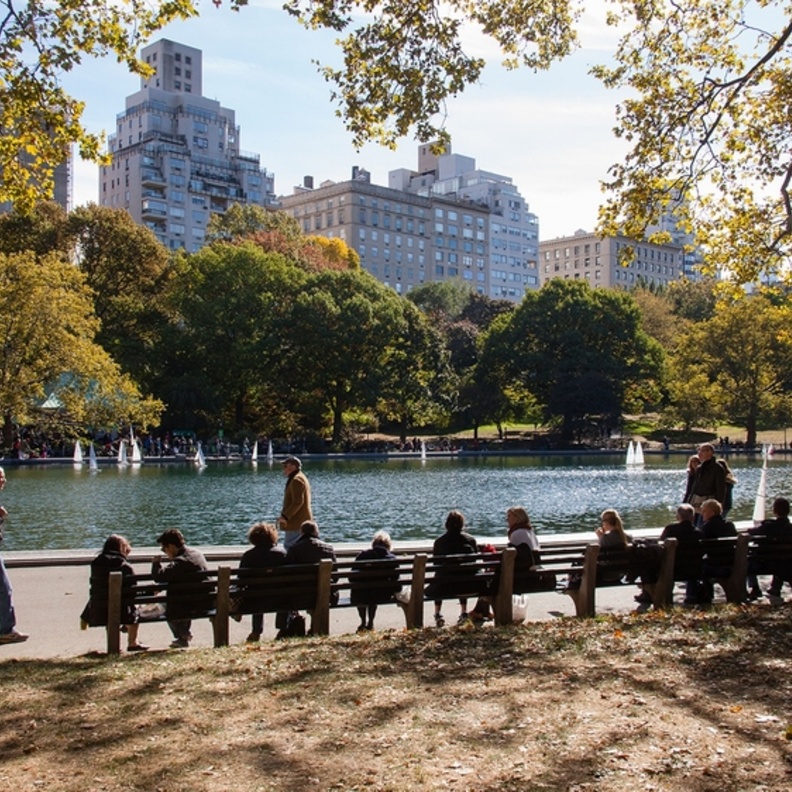 استمتع بالوجهات المجانية في نيويورك