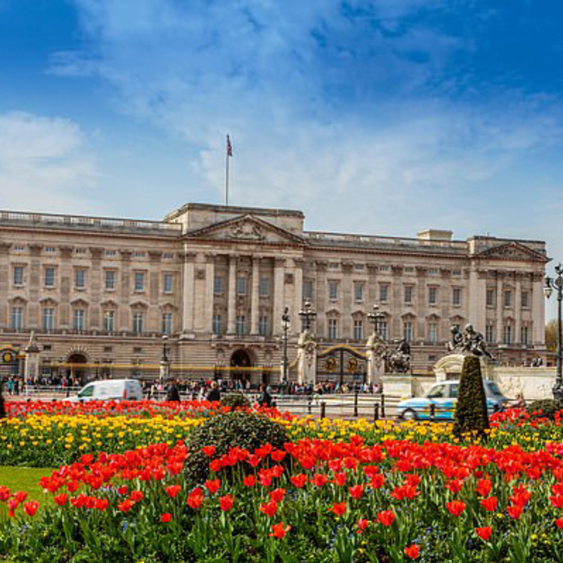 قصر باكنغهام تسكنه الفئران