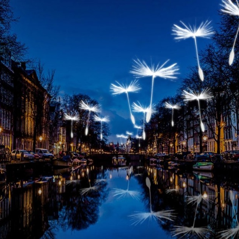 اجواء من مهرجان Up Helly Aa