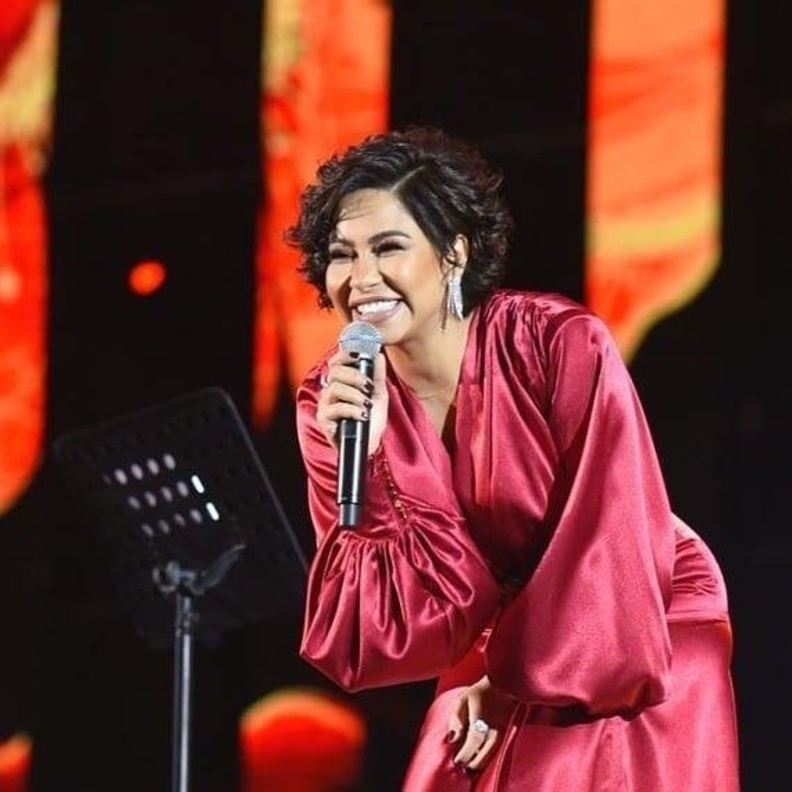 تميّز التصميم بقماش الستان والاكمام الطويلة المنفوخة