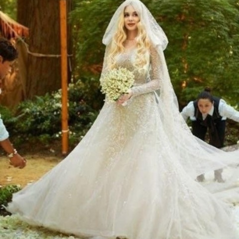 الأميرة ستيفاني بفستان من ايلي صعب