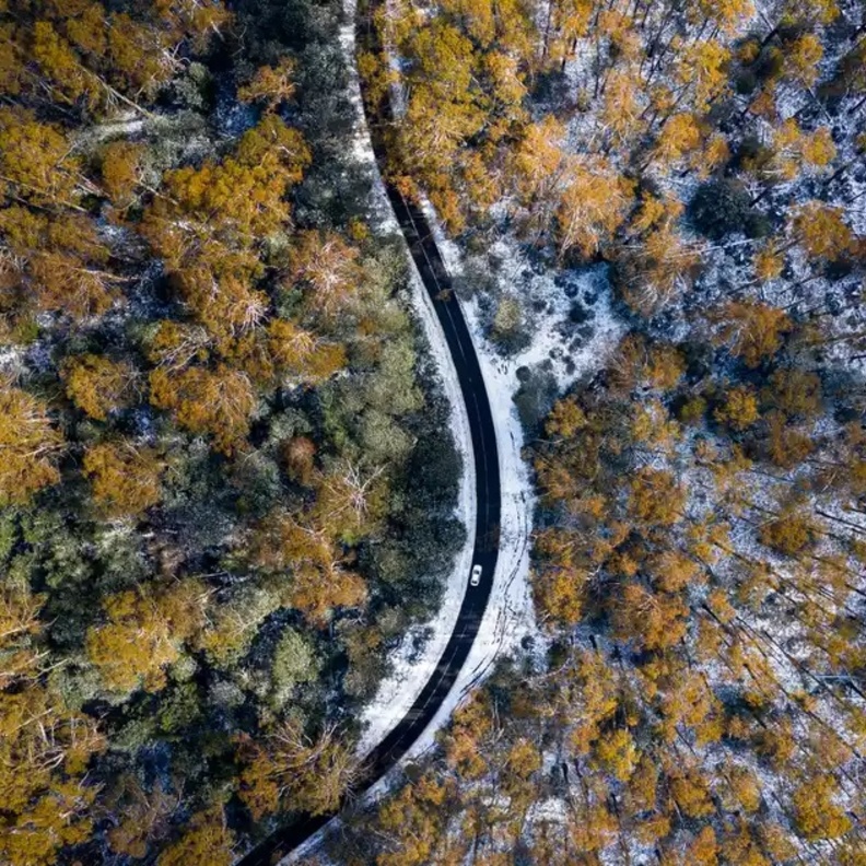  الذهاب في رحلة برية في الثلج تجربة رائعة