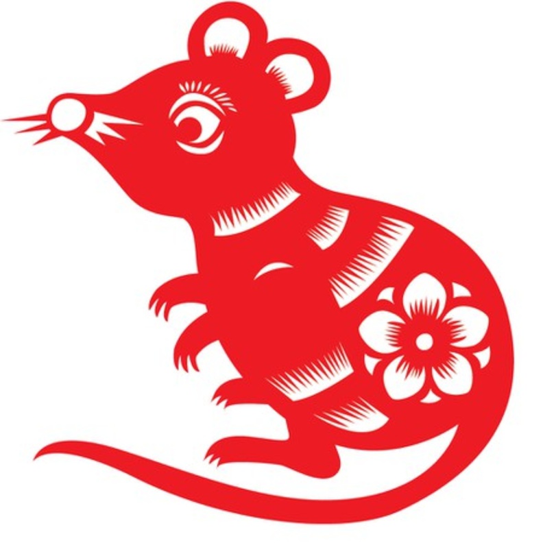  يتمتع مولود برج القوس بشخصية نشيطة ومتفائلة