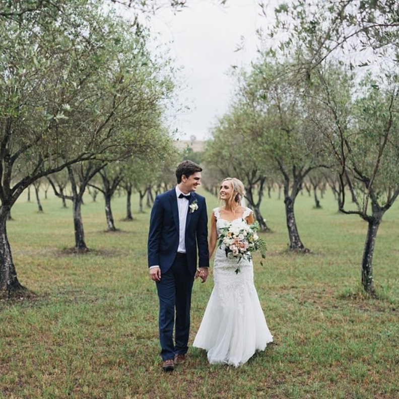 أشجار الزيتون تعد خيار مثالي أيضا كثيم رئيسي لحفلات الزفاف