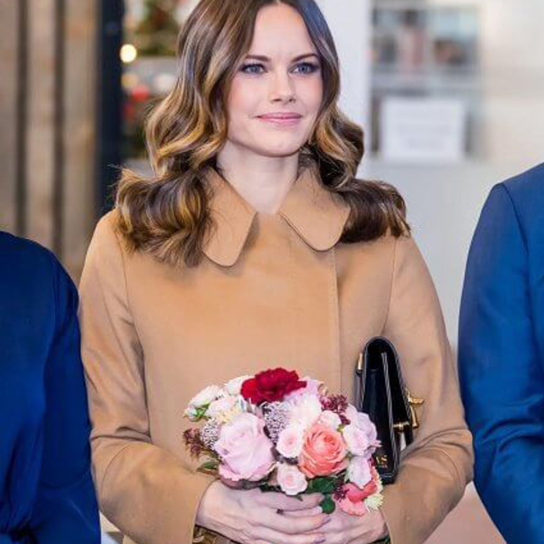 الأميرة صوفيا تفتتح مدرسة جديدة في مقاطعة Alvdalen