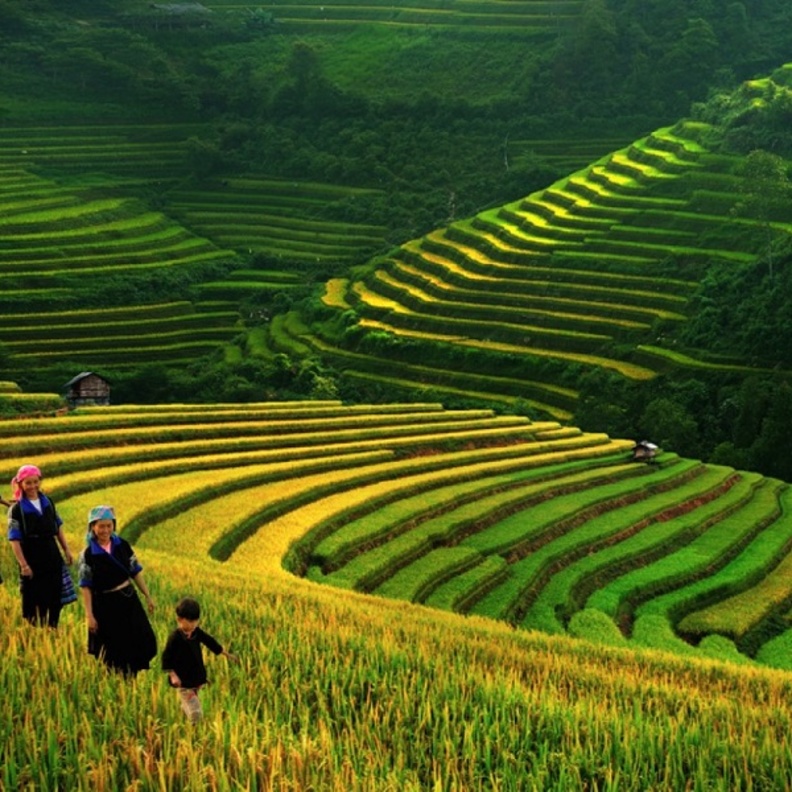 من وادي مونغ هوا