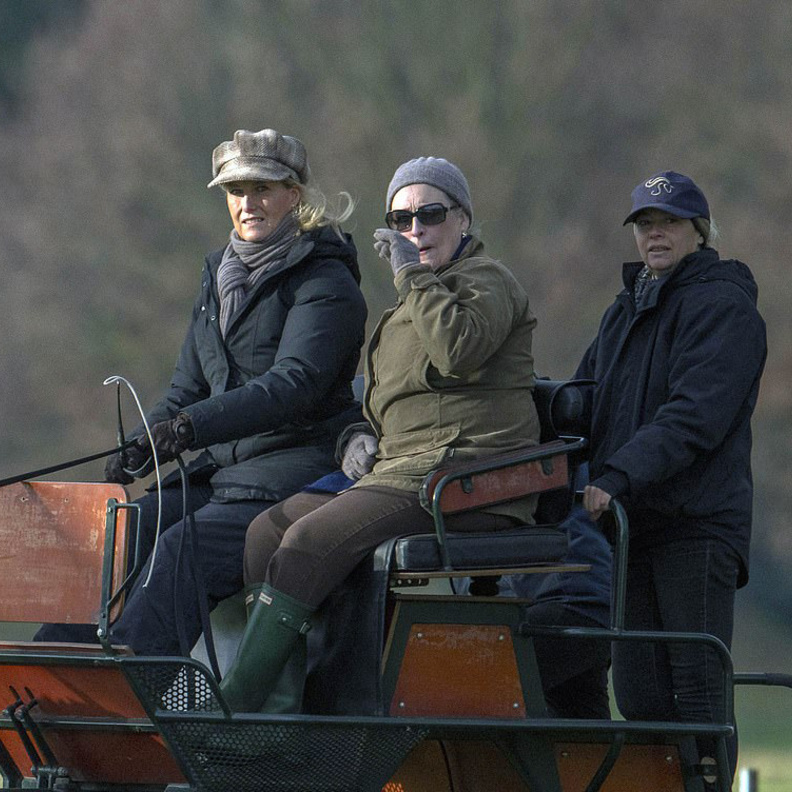 صوفي كونتيسة وسكس